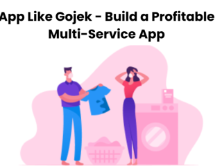App Like Gojek - Build a Profitable Multi-Service App
