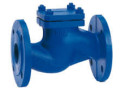 non-return-nrv-valves-suppliers-in-kolkata-small-0